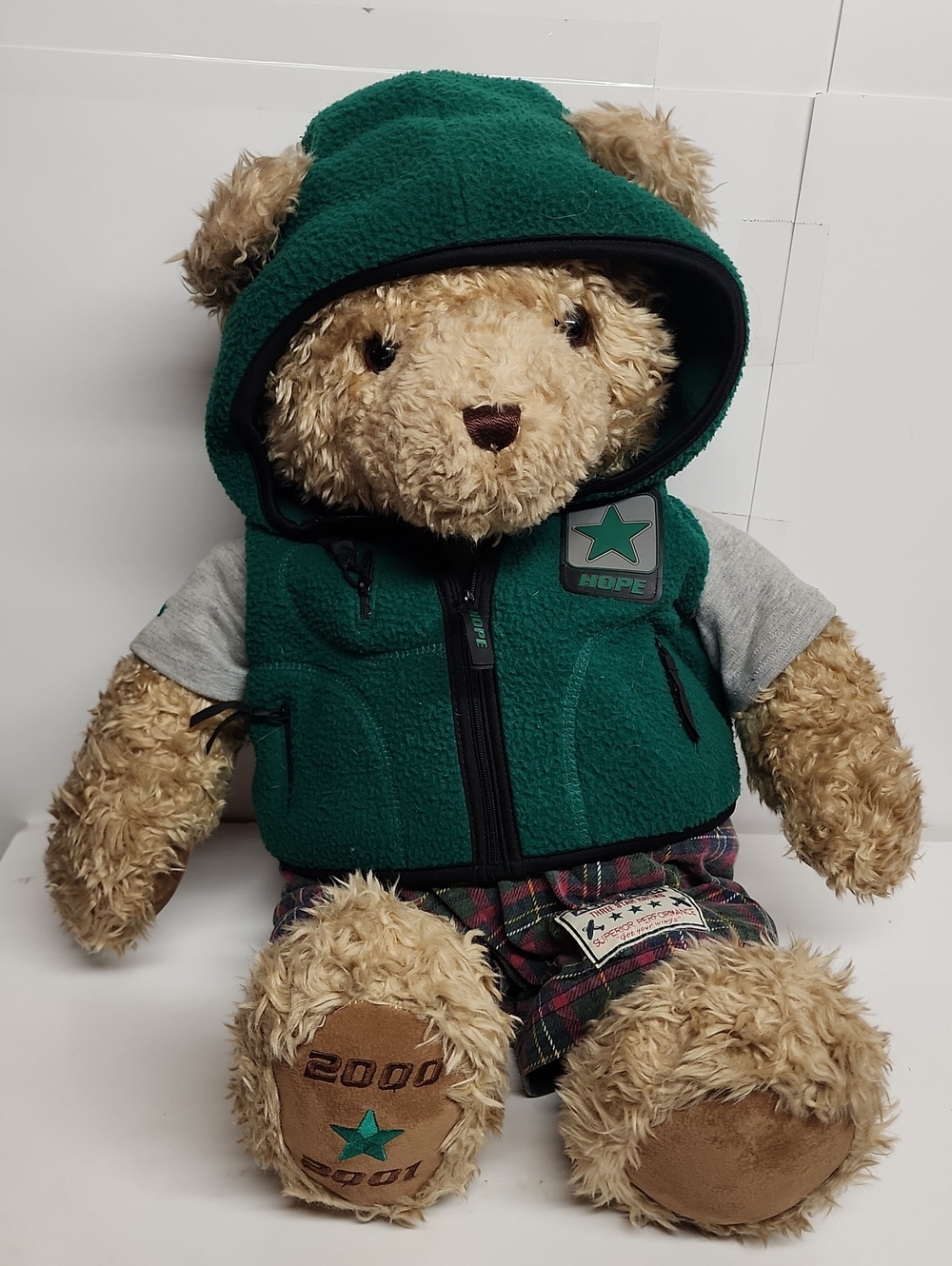 GUND 2000 2001 Wish  Teddy Bear HOPE Green Hooded Vest - LIMITED EDITION hugs!
